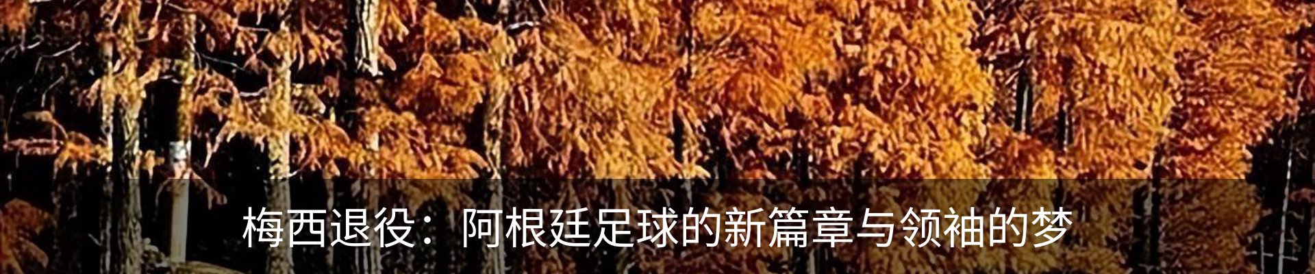 内页banner