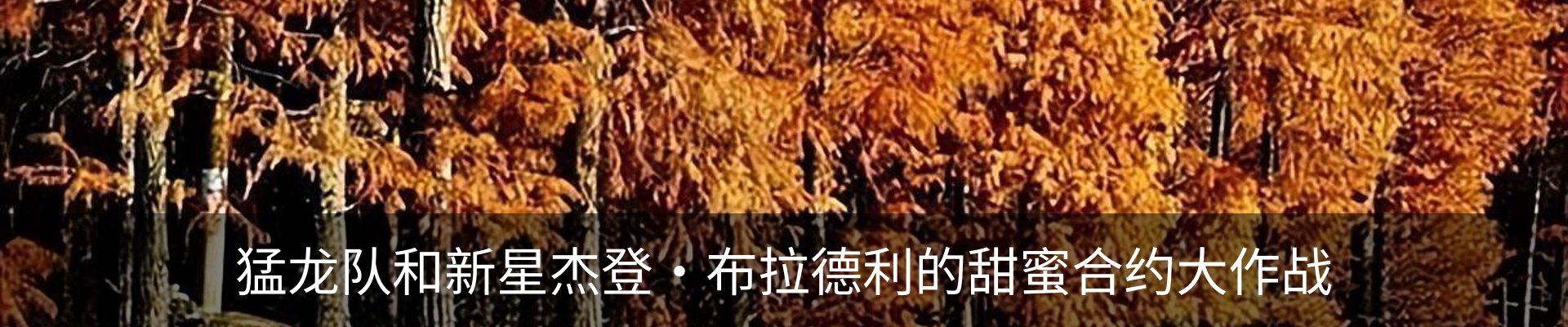 内页banner